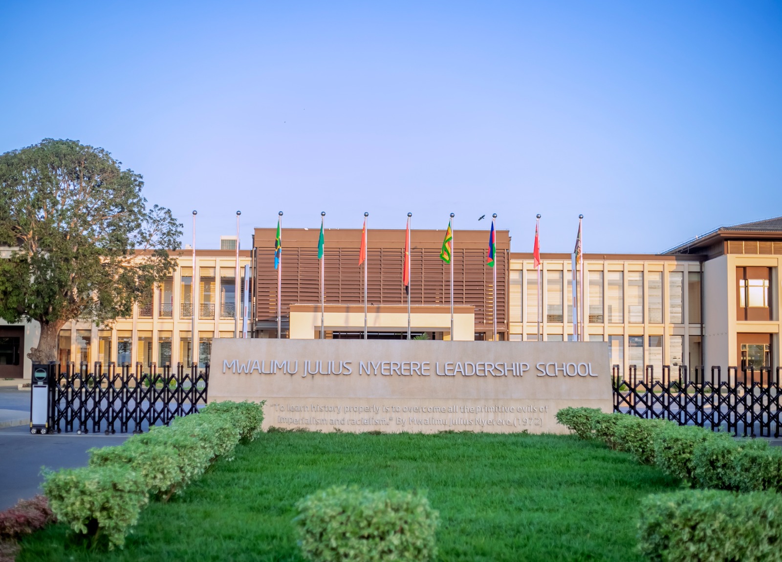 Liberation archive image 10