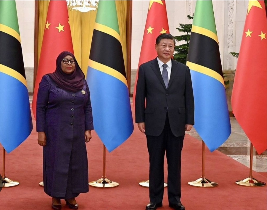 Liberation archive image 3